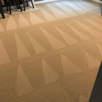 carpet carpet cleaning gilbert az
